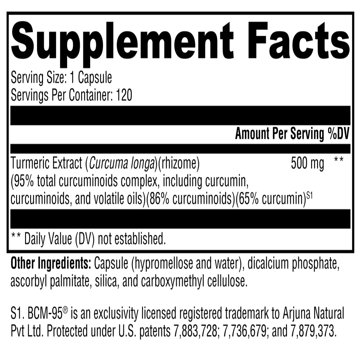 CurcuPlex-95™ 120 Capsules Supplement Facts
